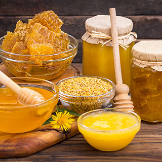 Honey-producing-plants-uk