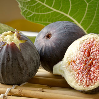 fig-trees-varieties