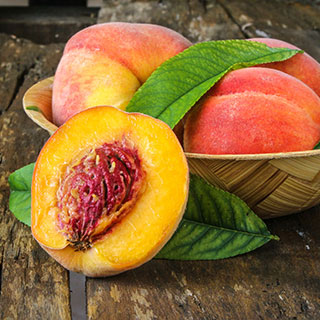 nectarine-trees-and-peach-trees-varieties