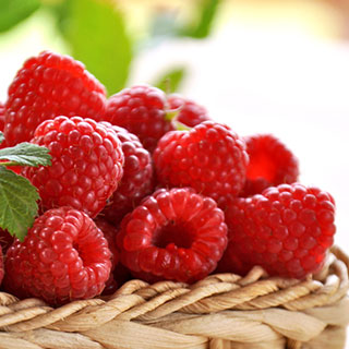 raspberry-blackberry-rubus-idaeus-red-fruits