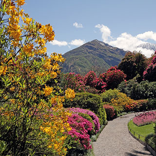 mountain-gardens