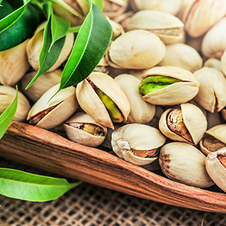 pistachio-pistacea