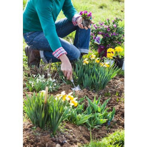 How to redesign a flowerbed ?
