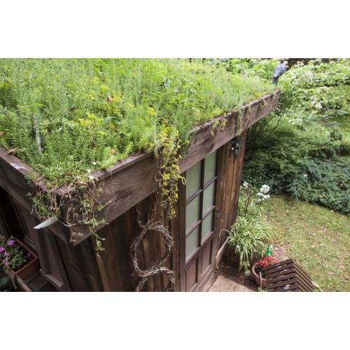 Create a green roof