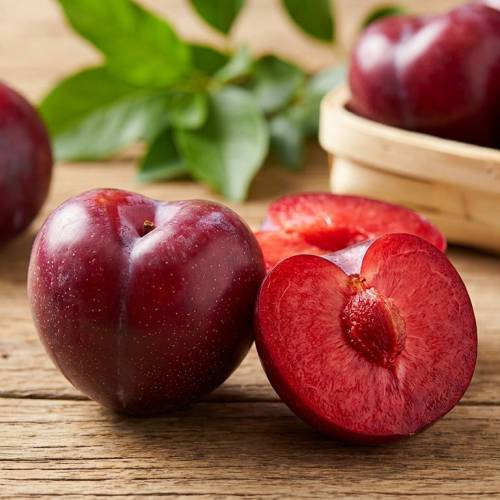 Plum tree 'Lovita'