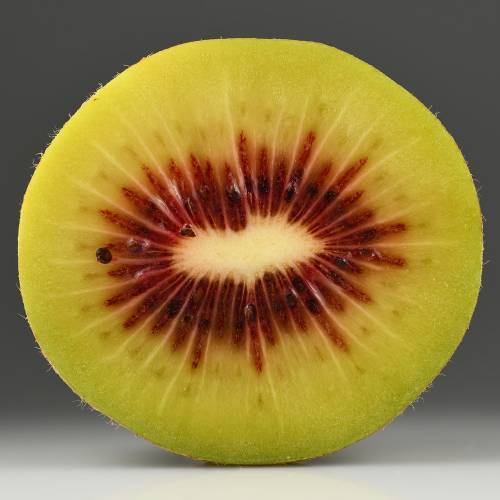Red-centered yellow kiwi