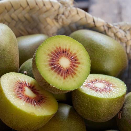 Red-centered yellow kiwi