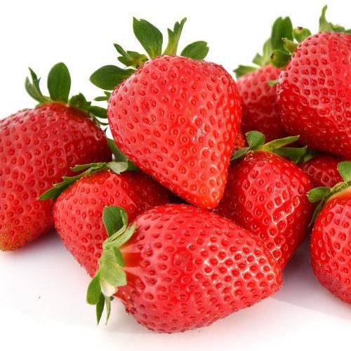 Strawberry plant 'Favori'