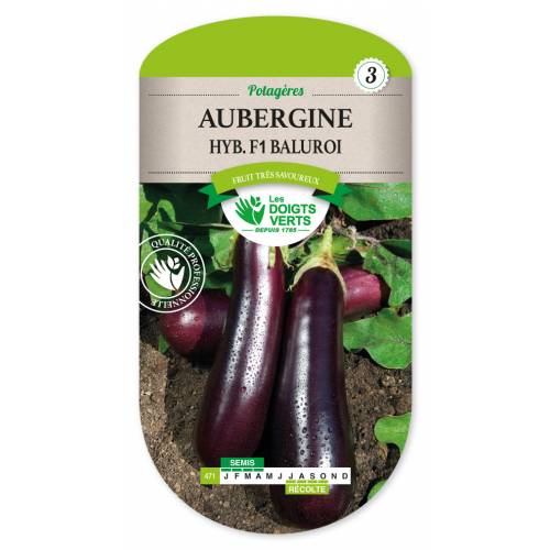 Aubergine Seeds - Baluroi F1 Aubergine