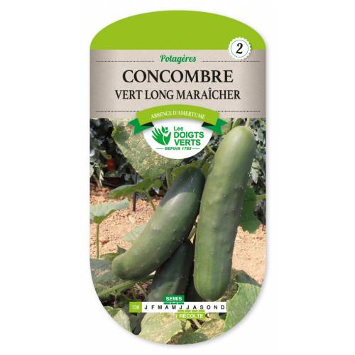 'Long Maraicher' Cucumber