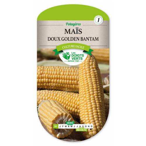 Sweet Corn seeds - 'Golden Bantam' Sweet Corn