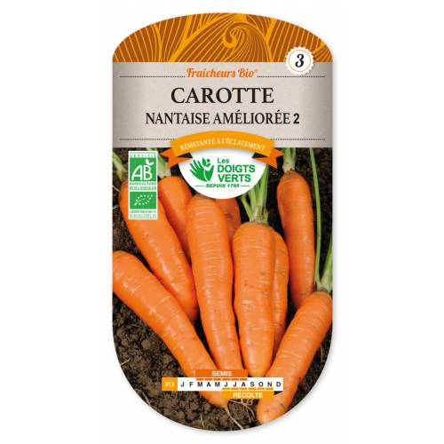 Nantaise amliore Carrot