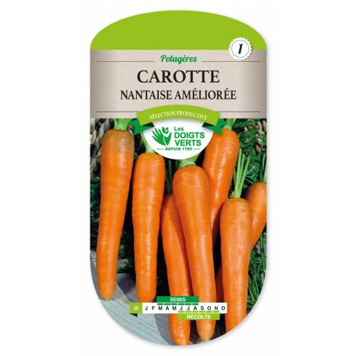 Nantaise amliore Carrot