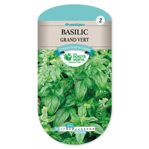 Basil - Seeds