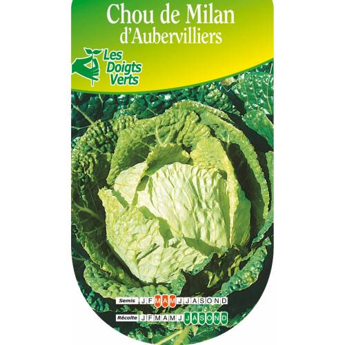 Cabbage seeds - Savoy Cabbage from Aubervilliers
