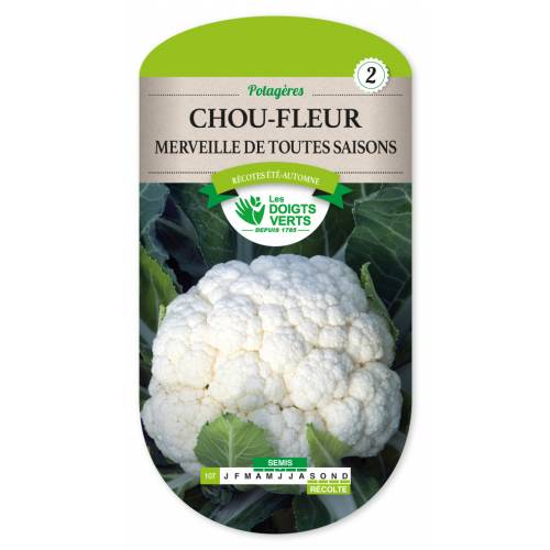 Wonder all Seasons Cauliflower