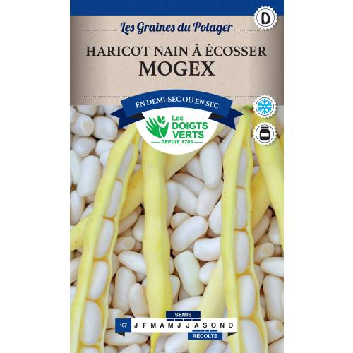 Dry Shelling Bean 'Mogex'