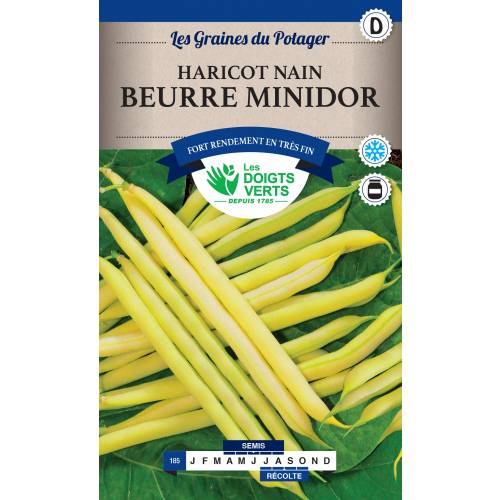 Dwarf French Bean 'Minodor Beurre'