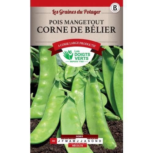 'Mangetout Corne de Blier' Pea