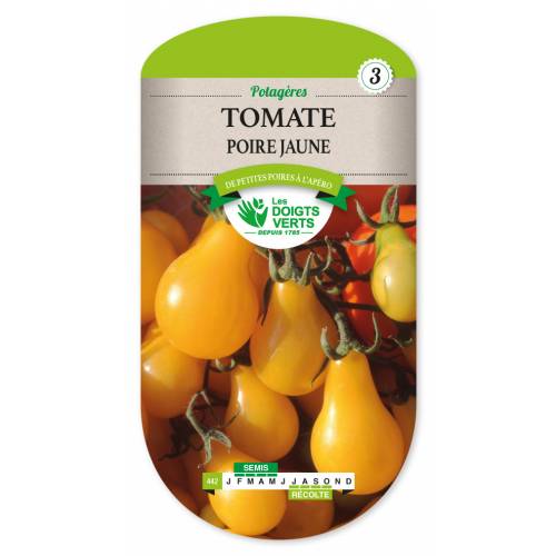 'Yellow Pearshapped' Tomato