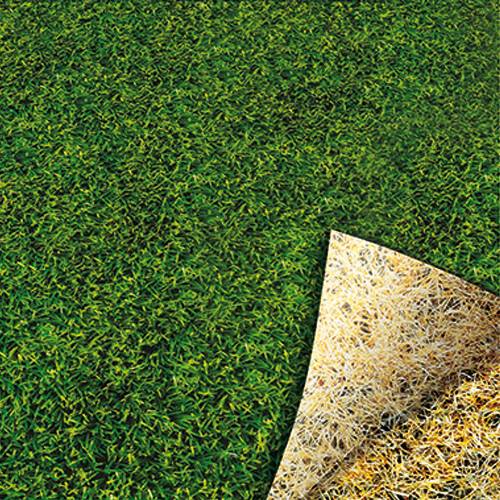 Overseeding Lawn - 1kg - 50m2