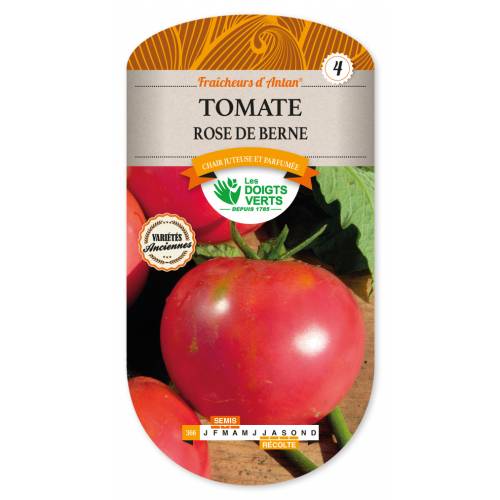 Tomato, 'Rose de Berne'