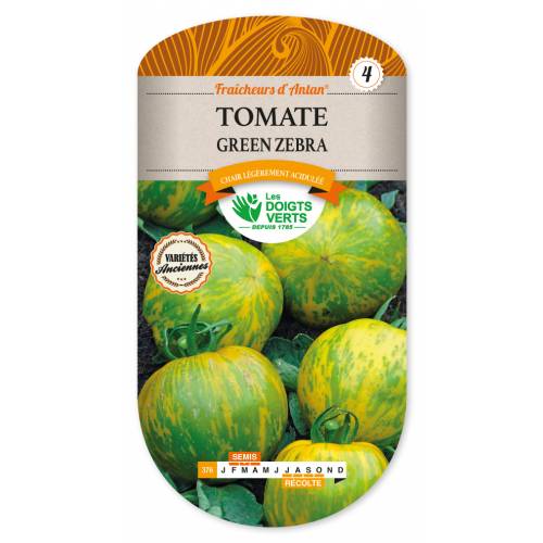 Tomato, 'Green Zebra'