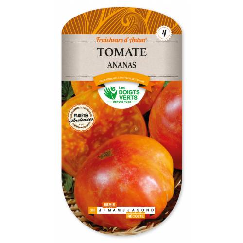 Tomato, 'Ananas'