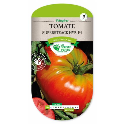 Tomato, 'Supersteak Hyb. F1'
