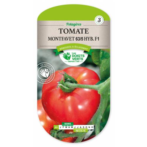 Tomato, 'Montfavet 63-5 Hyb. F1'