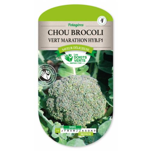 Green Broccoli 'Marathon F1'