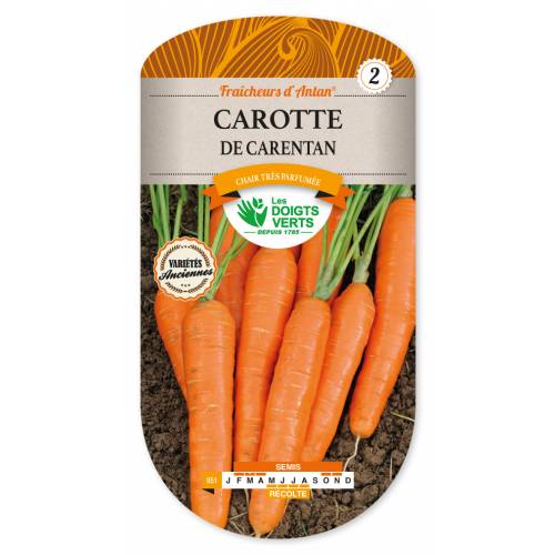 Carentan Carrot