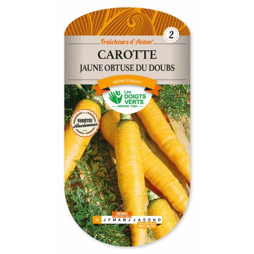 Obtuse du Doubs yellow carrot