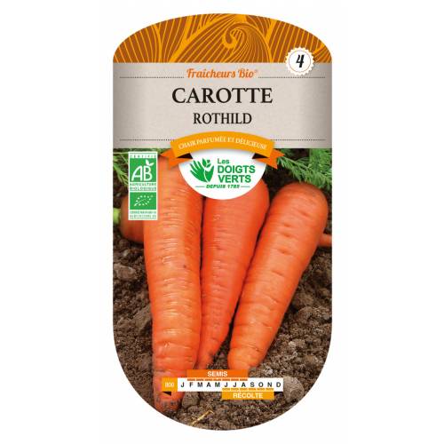 Rothild Carrot