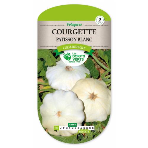 Patty Pan Courgette