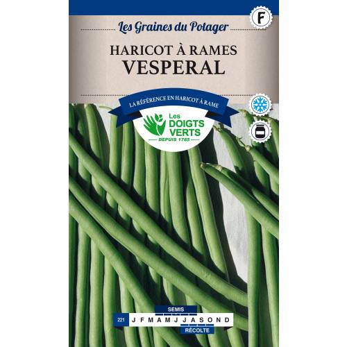 Vesperal French Climbing Beans