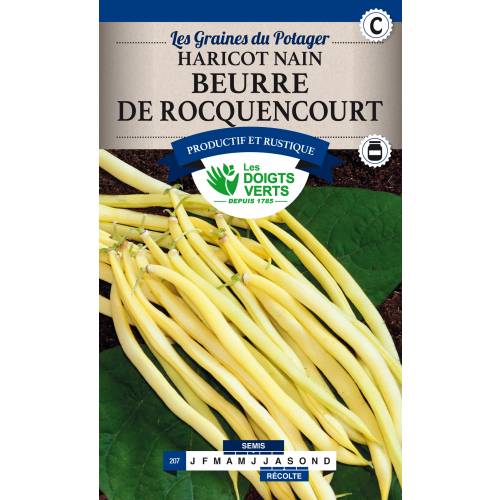Dwarf Yellow French bean Rocquencourt