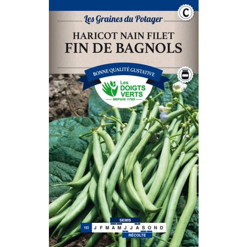 Dwarf French Filet Beans Fin de Bagnols