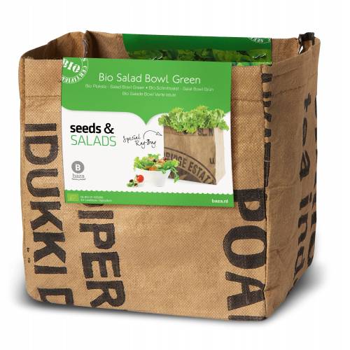 Growing Kit - Organic Salad – Bowl Green