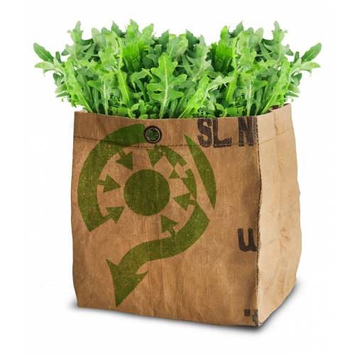 Growing Kit - Organic Salad – Rocket