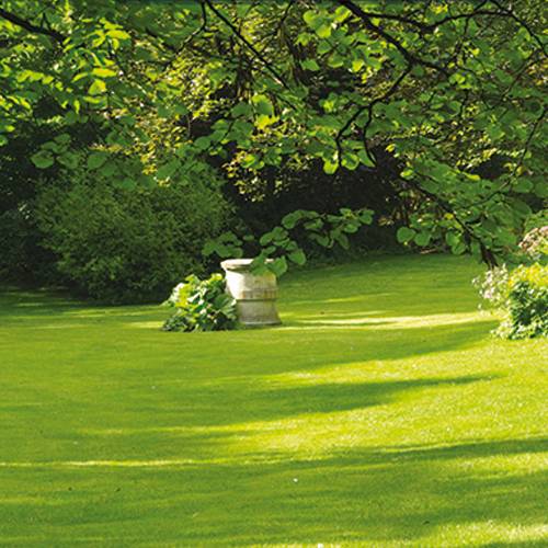 Lawn Shady Areas- 5kg - 200m2