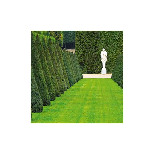 Prestige Lawn - 10kg - 400m2