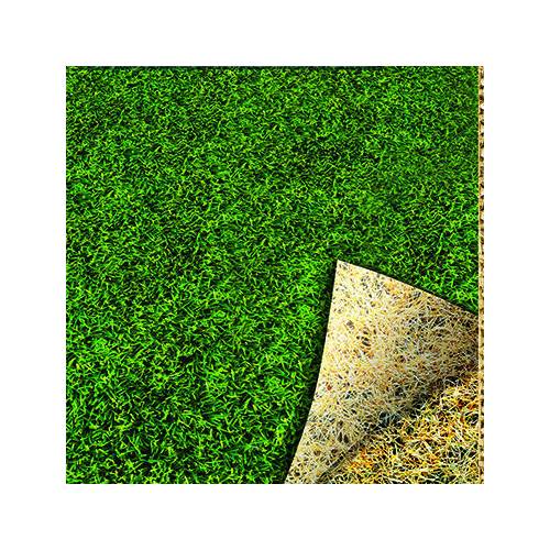 Overseeding Lawn - 500gr - 25m2