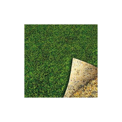 Overseeding Lawn - 5kg - 250m2