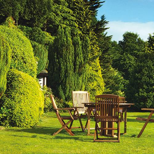 Utility lawn seed - 3kg - 100m2