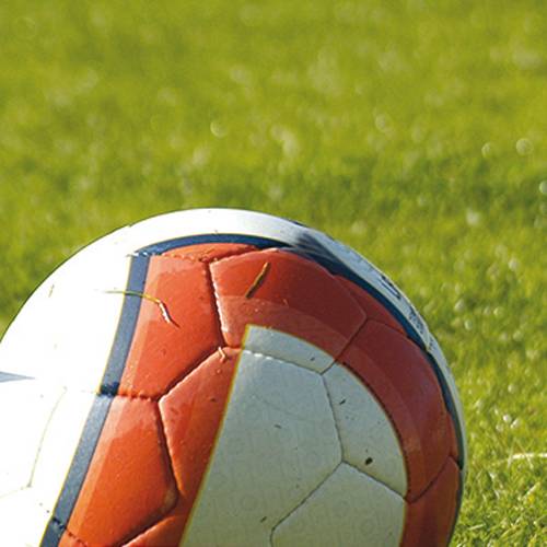 Lawn for Play Areas - 5kg - 175m2