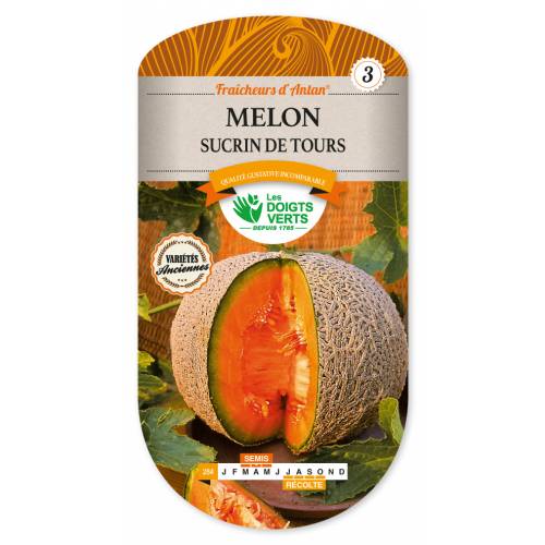 Melon, 'Sucrin de Tours'