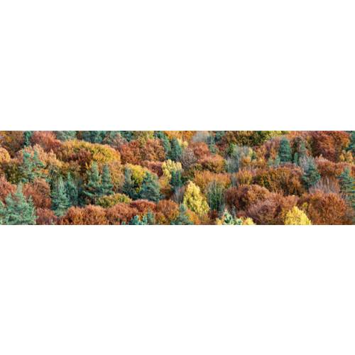 Garden poster La Chabanne