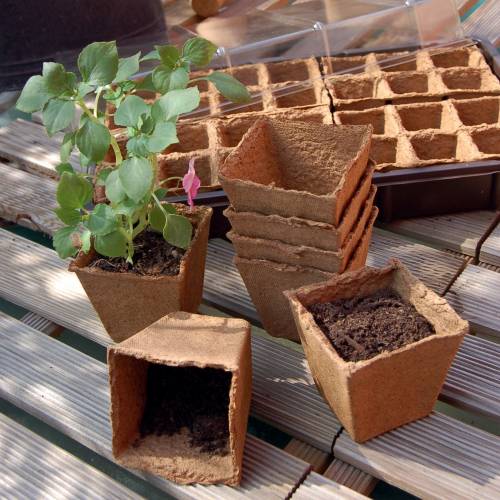Biodegradable Square Pots