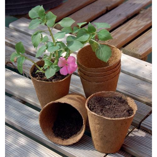 Biodegradable Round Pots 6cm